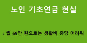 노인 기초연금 현실: 월 69만 원으로는 생활비 충당 어려워