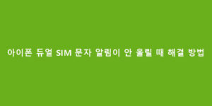 아이폰 듀얼 SIM 문자 알림이 안 울릴 때 해결 방법