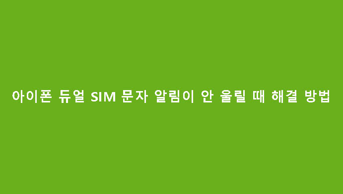 아이폰 듀얼 SIM 문자 알림이 안 울릴 때 해결 방법