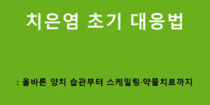 치은염 초기 대응법: 올바른 양치 습관부터 스케일링·약물치료까지