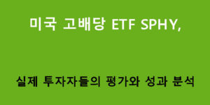 미국 고배당 ETF SPHY, 실제 투자자들의 평가와 성과 분석