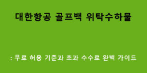 대한항공 골프백 위탁수하물: 무료 허용 기준과 초과 수수료 완벽 가이드