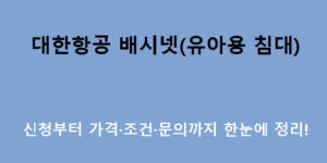 대한항공 배시넷(유아용 침대) 신청부터 가격·조건·문의까지 한눈에 정리!