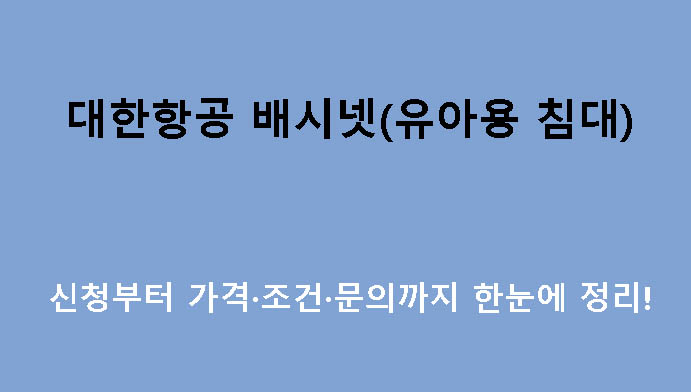 대한항공 배시넷(유아용 침대) 신청부터 가격·조건·문의까지 한눈에 정리!