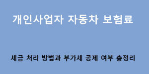 개인사업자 자동차 보험료 세금 처리 방법과 부가세 공제 여부 총정리