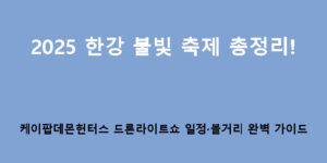 2025 한강 불빛 축제 총정리! 케이팝데몬헌터스 드론라이트쇼 일정·볼거리 완벽 가이드