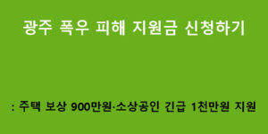 광주 폭우 피해 지원금 신청하기: 주택 보상 900만원·소상공인 긴급 1천만원 지원