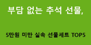부담 없는 추석 선물, 5만원 미만 실속 선물세트 TOP5