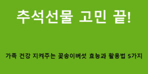 추석선물 고민 끝! 가족 건강 지켜주는 꽃송이버섯 효능과 활용법 5가지
