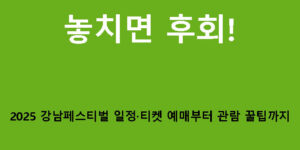 놓치면 후회! 2025 강남페스티벌 일정·티켓 예매부터 관람 꿀팁까지