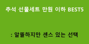 추석 선물세트 만원 이하 BEST5: 알뜰하지만 센스 있는 선택