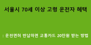 서울시 70세 이상 고령 운전자 혜택: 운전면허 반납하면 교통카드 20만원 받는 방법