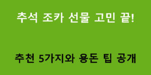 추석 조카 선물 고민 끝! 추천 5가지와 용돈 팁 공개