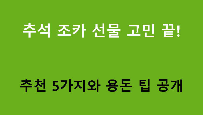 추석 조카 선물 고민 끝! 추천 5가지와 용돈 팁 공개