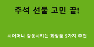추석 선물 고민 끝! 시어머니 감동시키는 화장품 5가지 추천