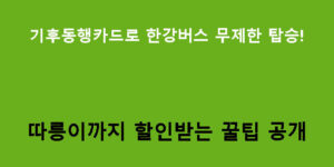 기후동행카드로 한강버스 무제한 탑승! 따릉이까지 할인받는 꿀팁 공개
