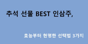 추석 선물 BEST 인삼주, 효능부터 현명한 선택법 3가지