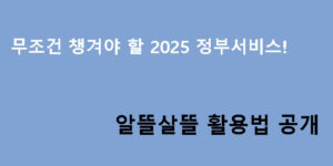 무조건 챙겨야 할 2025 정부서비스! 알뜰살뜰 활용법