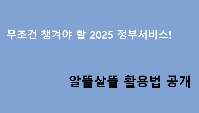 무조건 챙겨야 할 2025 정부서비스! 알뜰살뜰 활용법