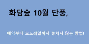 화담숲 10월 단풍, 예약부터 모노레일까지 놓치지 않는 방법!