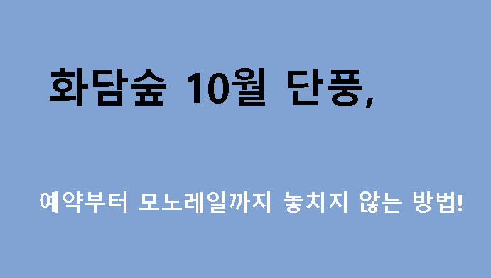 화담숲 10월 단풍, 예약부터 모노레일까지 놓치지 않는 방법!