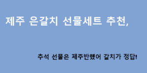 제주 은갈치 선물세트 추천, 추석 선물은 제주반했어 갈치가 정답!