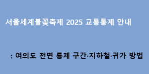 서울세계불꽃축제 2025 교통통제 안내: 여의도 전면 통제 구간·지하철·귀가 방법