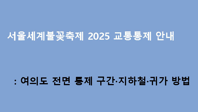 서울세계불꽃축제 2025 교통통제 안내: 여의도 전면 통제 구간·지하철·귀가 방법