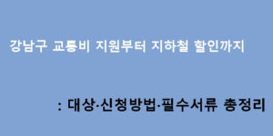강남구 교통비 지원부터 지하철 할인까지: 대상·신청방법·필수서류 총정리