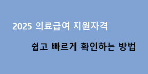2025 의료급여 지원자격 쉽고 빠르게 확인하는 방법