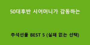 50대후반 시어머니가 감동하는 추석선물 BEST 5 (실패 없는 선택)