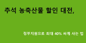 추석 농축산물 할인 대전, 정부지원으로 최대 40% 싸게 사는 법