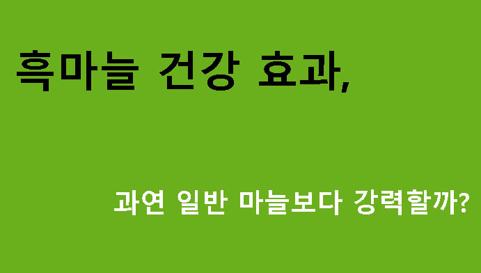 흑마늘 건강 효과, 과연 일반 마늘보다 강력할까?