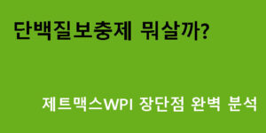 단백질보충제 뭐살까? 제트맥스WPI 장단점 완벽 분석
