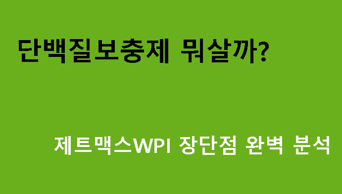 단백질보충제 뭐살까? 제트맥스WPI 장단점 완벽 분석