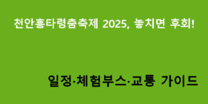 천안흥타령춤축제 2025, 놓치면 후회! 일정·체험부스·교통 가이드