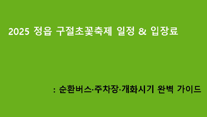 2025 정읍 구절초꽃축제 일정 & 입장료: 순환버스·주차장·개화시기 완벽 가이드