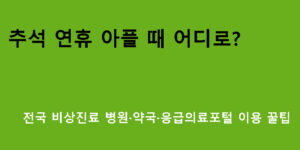 추석 연휴 아플 때 어디로? 전국 비상진료 병원·약국·응급의료포털 이용 꿀팁