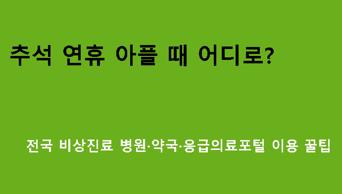 추석 연휴 아플 때 어디로? 전국 비상진료 병원·약국·응급의료포털 이용 꿀팁