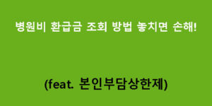 병원비 환급금 조회 방법 (feat. 본인부담상한제) 놓치면 손해!
