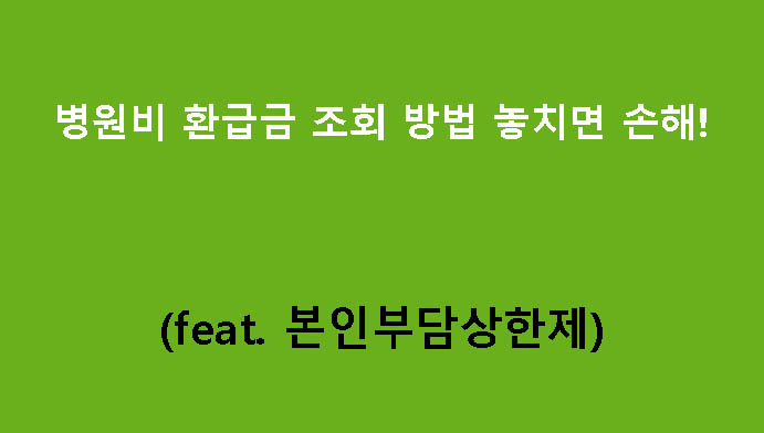 병원비 환급금 조회 방법 (feat. 본인부담상한제) 놓치면 손해!