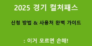 2025 경기 컬처패스 신청 방법 & 사용처 완벽 가이드: 이거 모르면 손해!