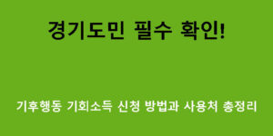 경기도민 필수 확인! 기후행동 기회소득 신청 방법과 사용처 총정리