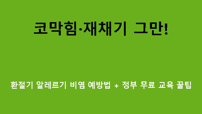 코막힘·재채기 그만! 환절기 알레르기 비염 예방법 + 정부 무료 교육 꿀팁