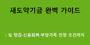새도약기금 완벽 가이드: 빚 탕감·신용회복·부양가족 인정 조건까지