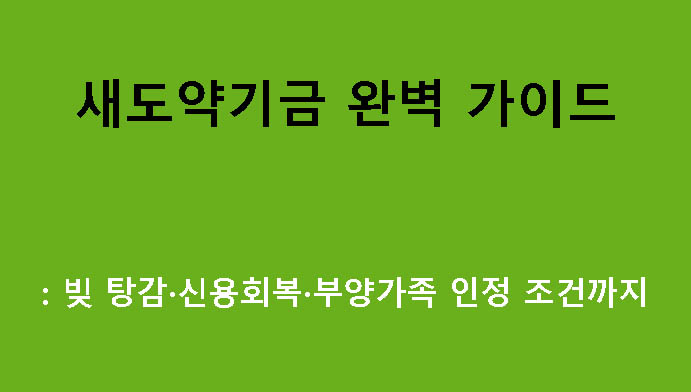 새도약기금 완벽 가이드: 빚 탕감·신용회복·부양가족 인정 조건까지