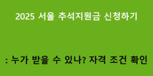 2025 서울 추석지원금 신청하기: 누가 받을 수 있나? 자격 조건 확인