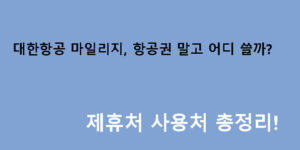 대한항공 마일리지, 항공권 말고 어디 쓸까? 제휴처 사용처 총정리!