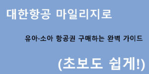 대한항공 마일리지로 유아·소아 항공권 구매하는 완벽 가이드 (초보도 쉽게!)