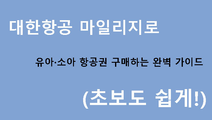 대한항공 마일리지로 유아·소아 항공권 구매하는 완벽 가이드 (초보도 쉽게!)